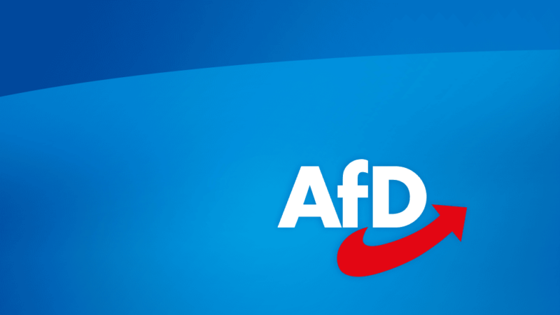 Německo připravuje „tajné plány“, jak před zemskými volbami svázat ruce AfD